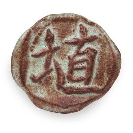 Oolong Matte - 16oz Amaco Shino Cone 5 Glaze